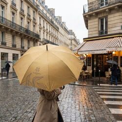 Petit parapluie de ville - Golf