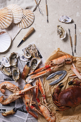 VINGA Histoire des fruits de mer