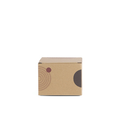 VINGA Presse à smash burger Paso