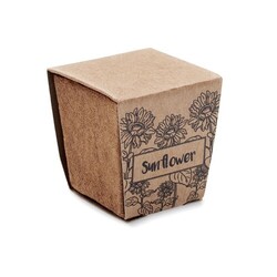 SUNFLOWER KIT Kit de tournesol