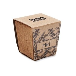 MINT KIT Kit de graines menthe