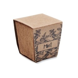 MINT KIT Kit de graines menthe