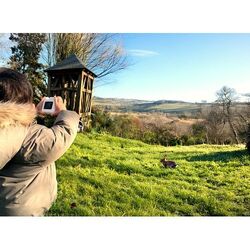 Appareil photo instantané 'Gamma'