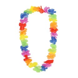 Collier Hawaïen Punder