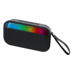 Haut-Parleur Nusbon RCS