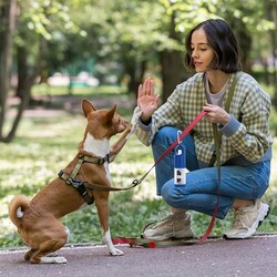 Distributeur de Sacs Kesler
