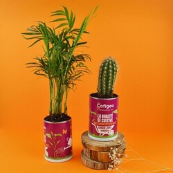 Canette plante alu