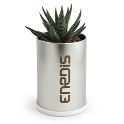 Canette plante alu