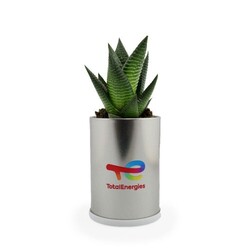 Canette plante alu