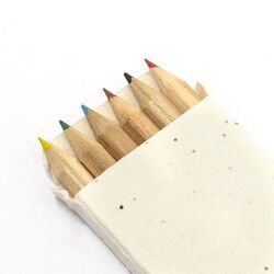 Set De Crayons Sedox