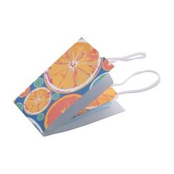 Étui pour masque facial MasCase