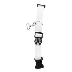 Collier pour chien Ziggy