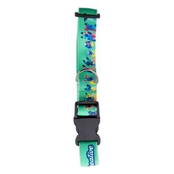 Collier pour chien Ziggy