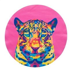 Essuie-lunettes, maison CreaClean RPET