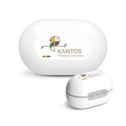 ECOUTEUR SANS FIL BT 5.3 - A CLIPSER