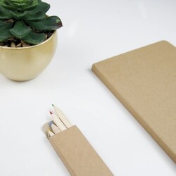 Set 4 crayons de couleur - Naturel