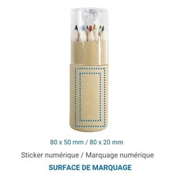 Set 12 crayons et taille crayon Transparent