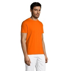 TITAN TEE SHIRT 150gr