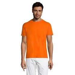 TITAN TEE SHIRT 150gr