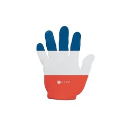 Main supporter France