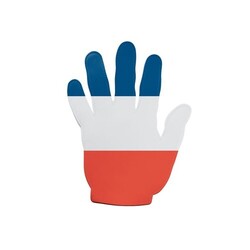 Main supporter France