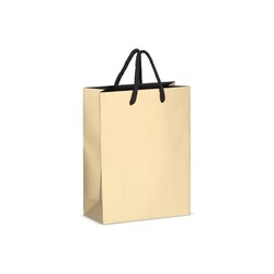 Sac cadeau en papier 18 x 8 x 24cm 200g/m²