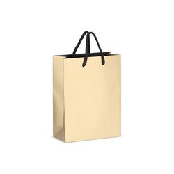 Sac cadeau en papier 18 x 8 x 24cm 200g/m²