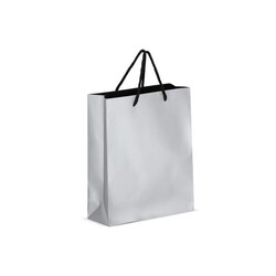 Sac cadeau en papier24 x 10 x 30cm 200g/m²