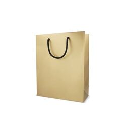 Sac cadeau en papier24 x 10 x 30cm 200g/m²