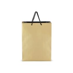 FSC Sac cadeau en papier 30 x 12 x 40cm 200g/m²