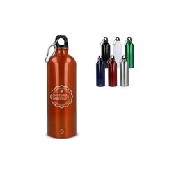 Bouteille à simple paroi R-SS avec mousqueton 750ml