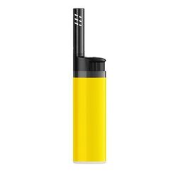 Briquet BIC® EZ Reach™