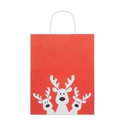 BAO MEDIUM Sac cadeau format moyen