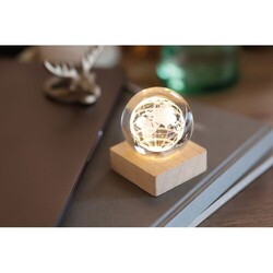 GLOBE LIGHT Globe en verre LED