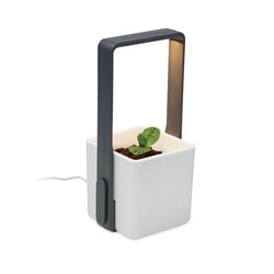 LUSHLET Jardin intérieur éclairage LED