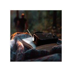 Radio d'urgence Philips TAR1609 avec tuner analogique FM/AM et lampe de poche