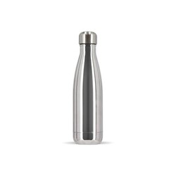 Sagaform Bouteille en acier Nils Chrome 500 ml