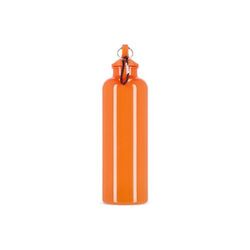 Bouteille d'eau Nina R-PET 750 ml Couleur dure