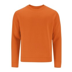 Sweat-Shirt Adulte Cosmos