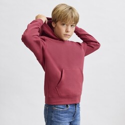 Sweat-Shirt Enfant Draco