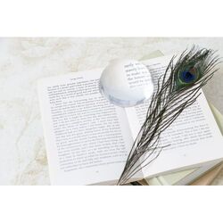 presse-papiers Hemisphere