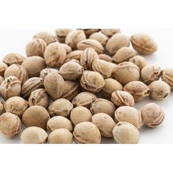 Coussin en noyaux de cerise PitHeat Ear