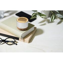 Enceinte sans fil Corbofi