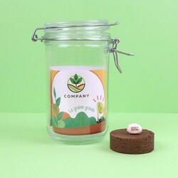 Graine gravée en bocal