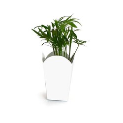 Plante pot popcorn