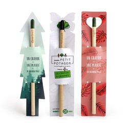 Crayon à graines étui sapin perso