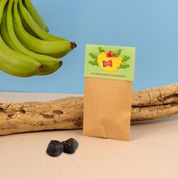 Sachet kraft-graines exotiques