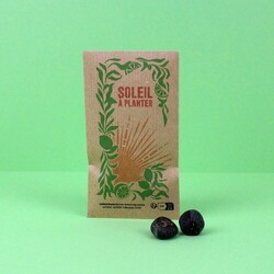 Sachet kraft-graines exotiques