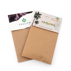 Sachet kraft - graines exotiques