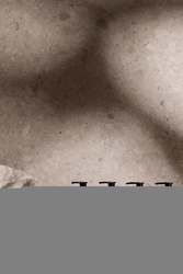 VINGA x TGL Coffret cadeau pour le corps et les mains